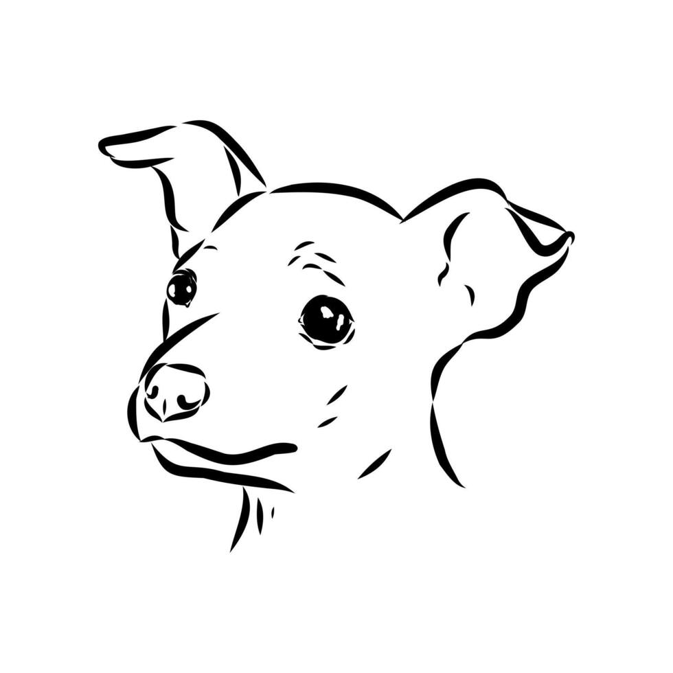 African elephant sketch vector