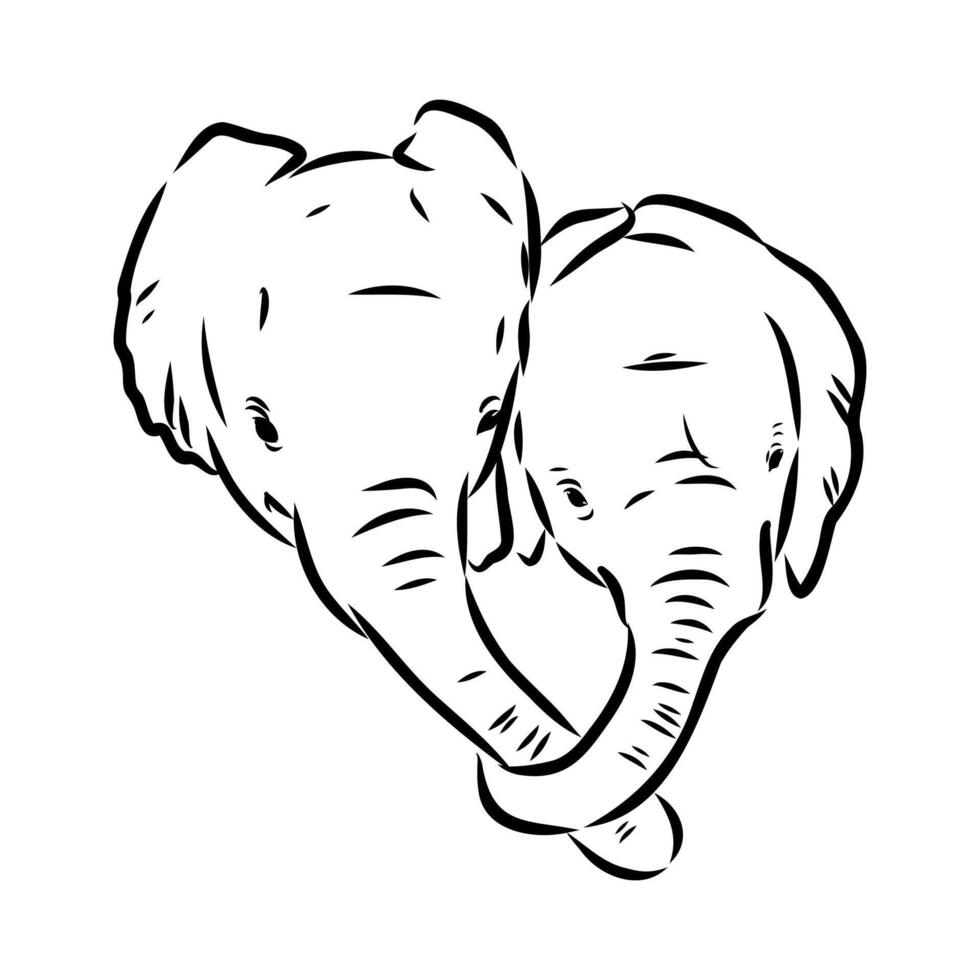 African elephant sketch vector