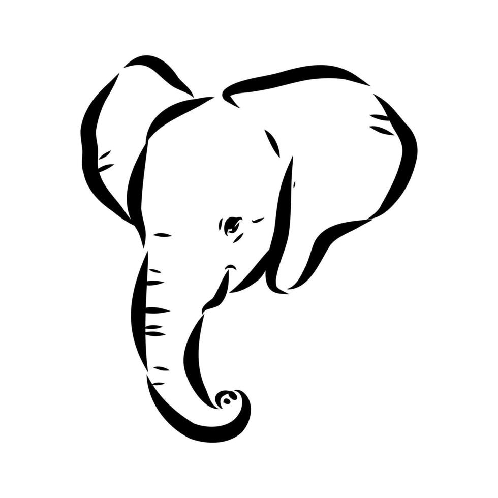 African elephant sketch vector