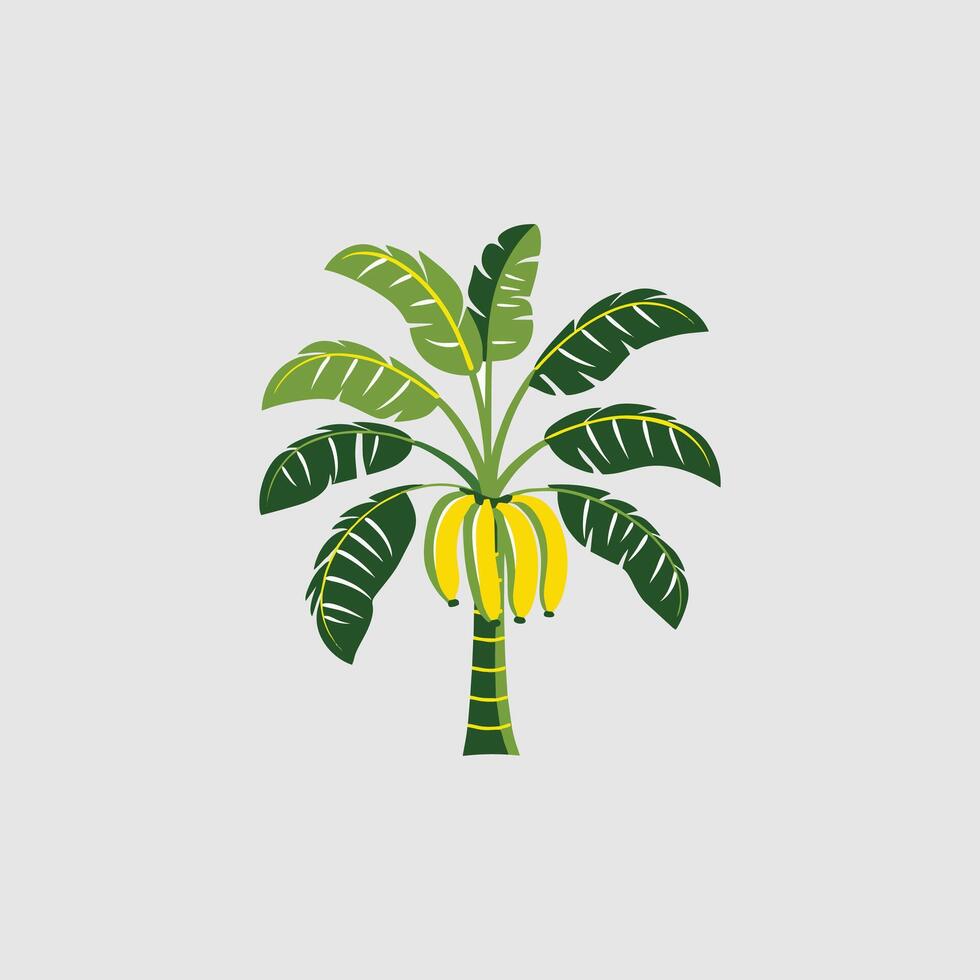 Banana tree icon. Gray background with green. vector