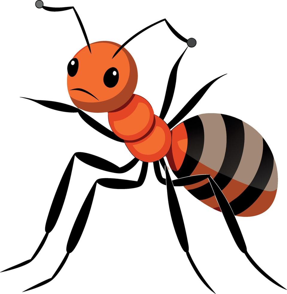 Ant silhouette and illustration with a white background. vector