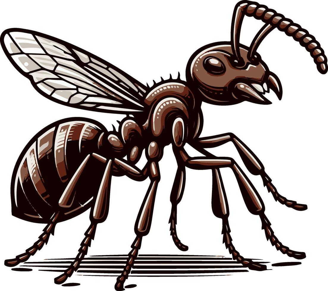 Ant silhouette and illustration with a white background. vector