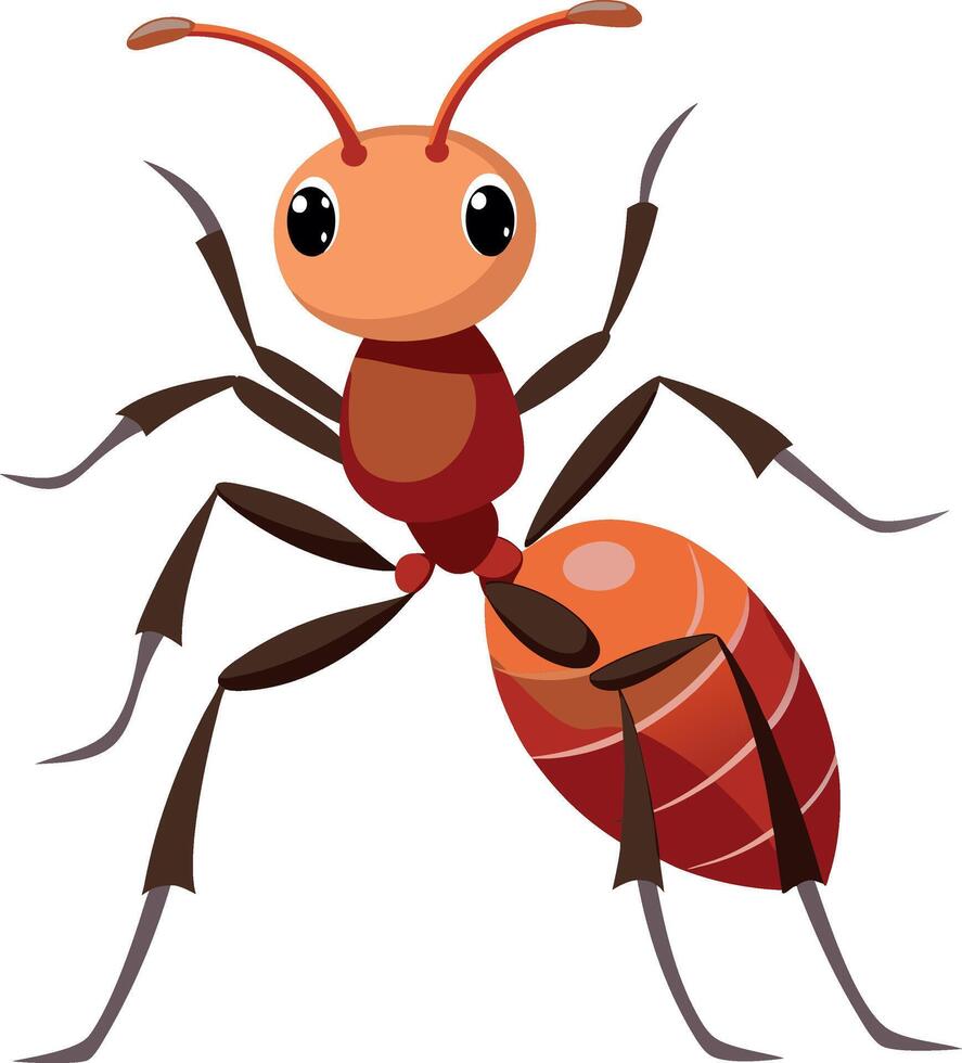 Ant silhouette and illustration with a white background. vector