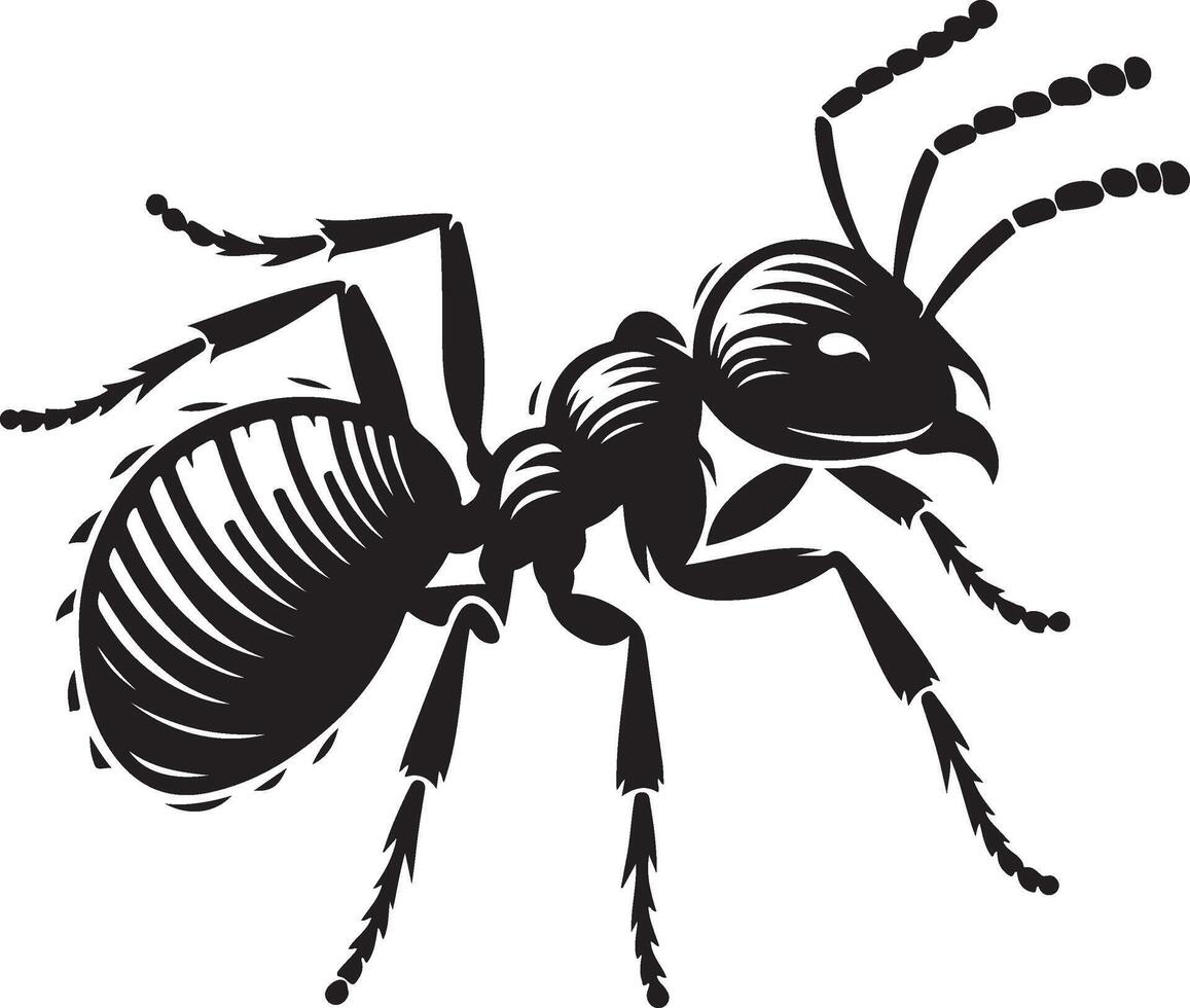 Ant silhouette and illustration with a white background. vector