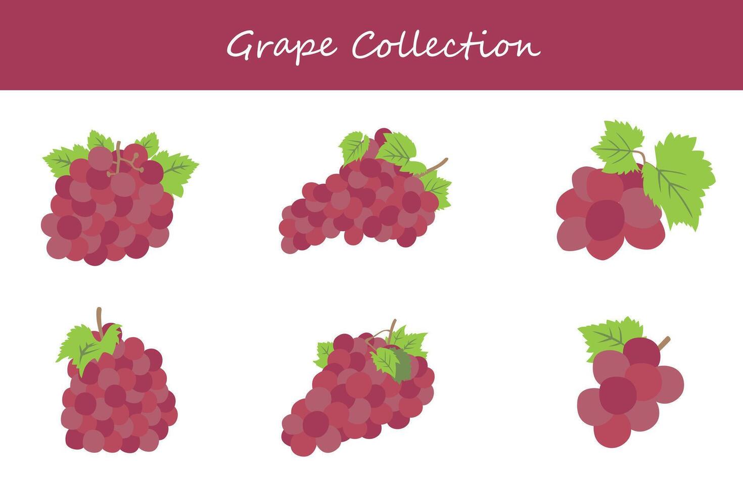 grapes collection. grapes in different poses vector