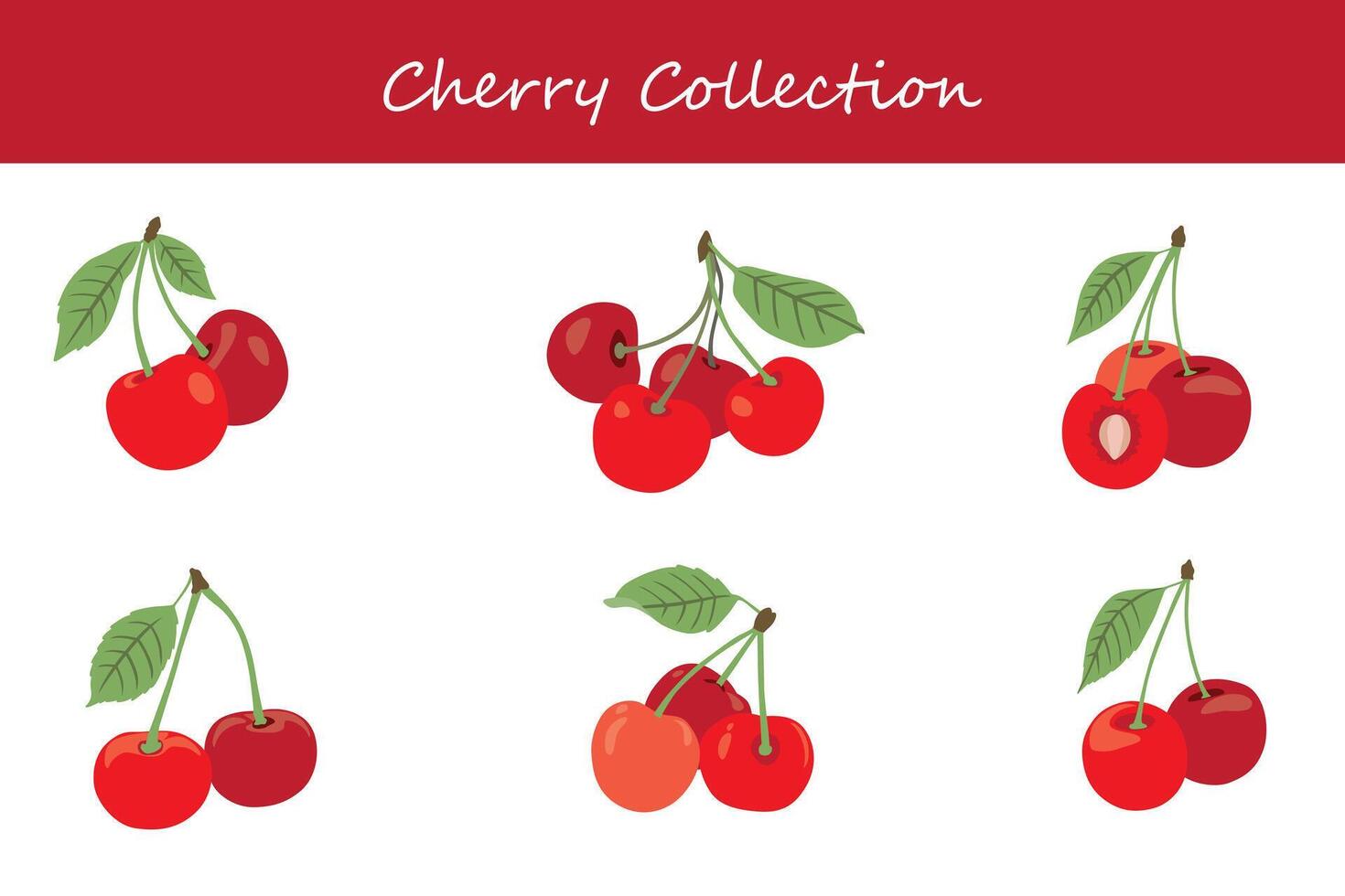cherry collection. cherry in different poses vector