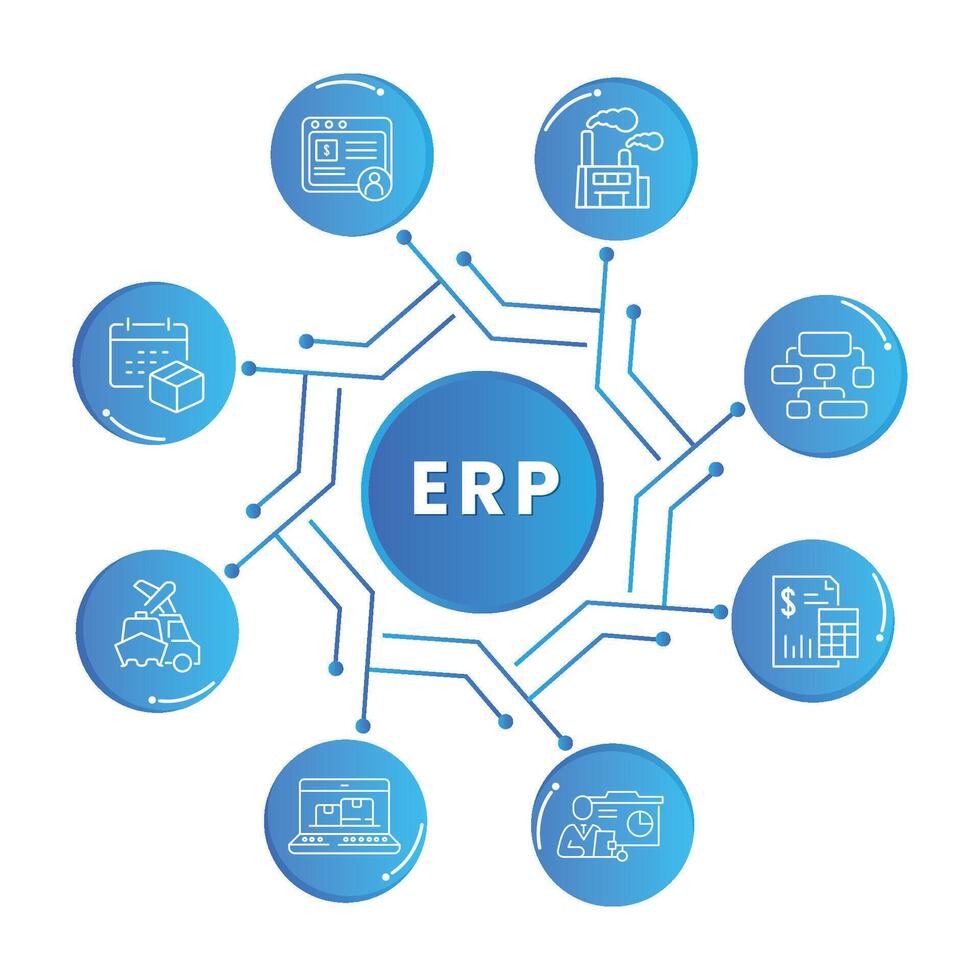 Enterprise resource planning infographic vector