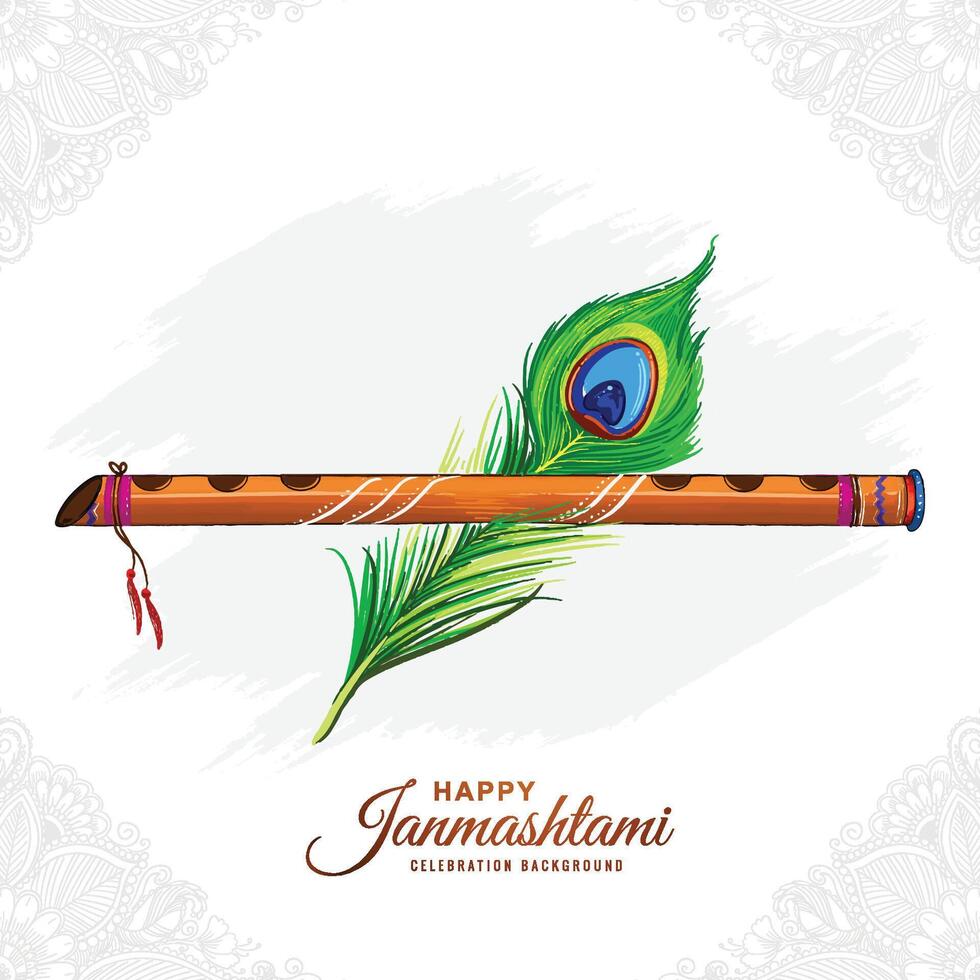 Peacock feather for shree krishna janmashtami card design vector
