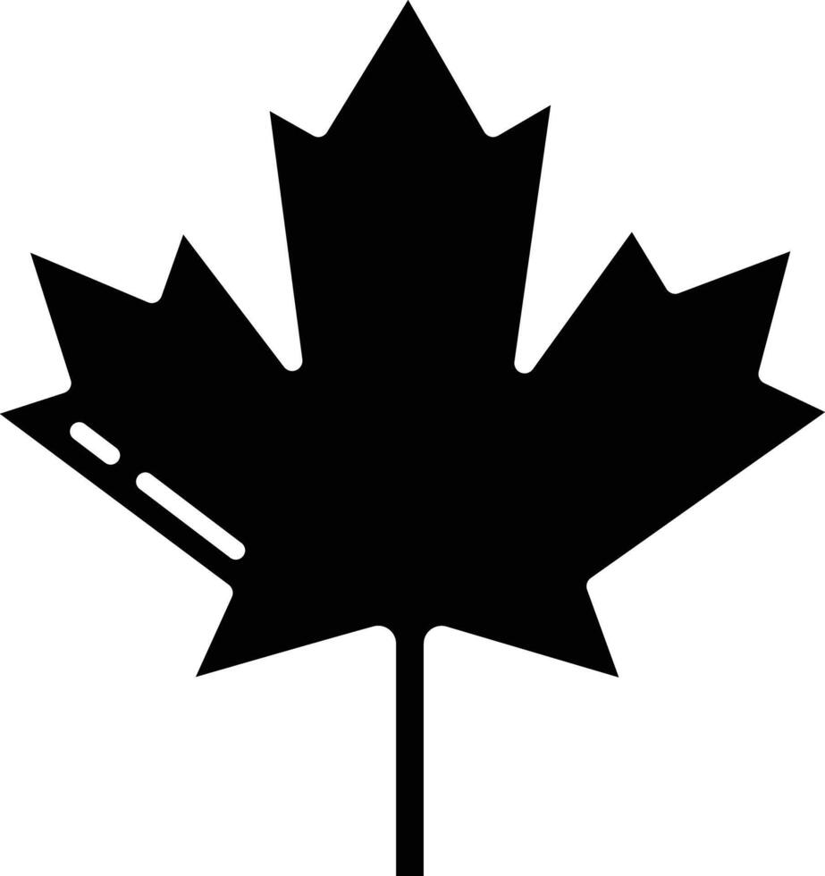 Maple Leaves solid glyph illustration vector
