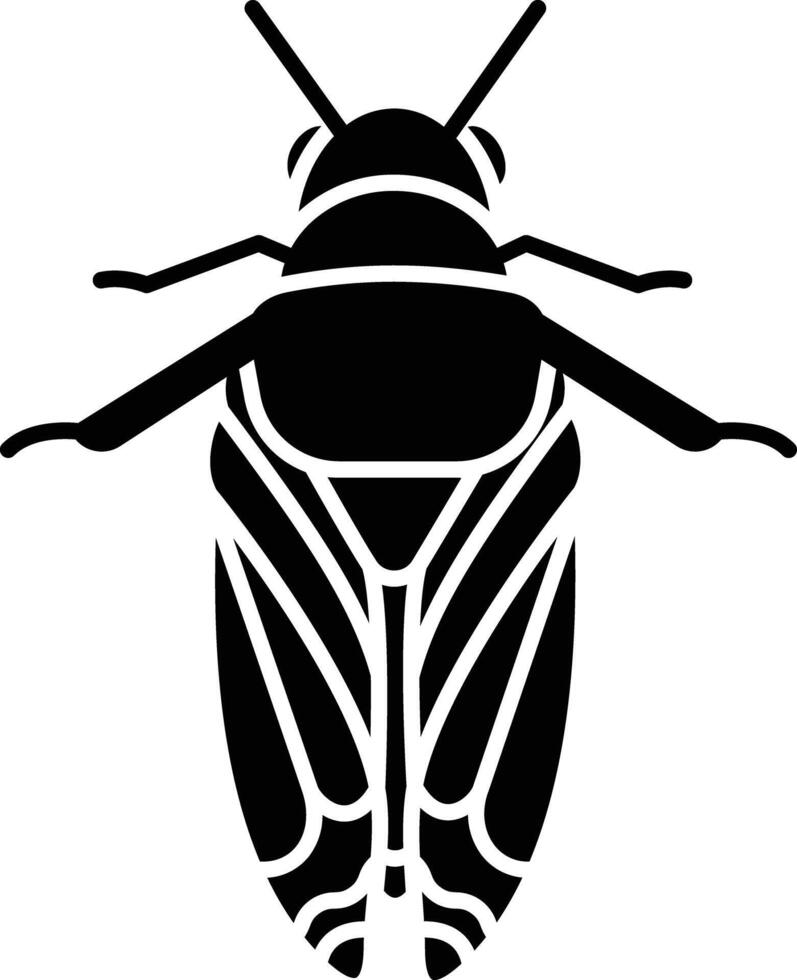 Cicadidae solid glyph illustration vector