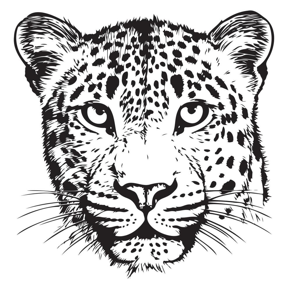 Leopard head sketch hand drawn illustration vector