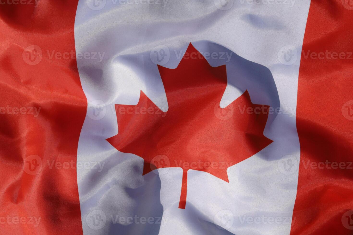 Canada flag in the wind photo