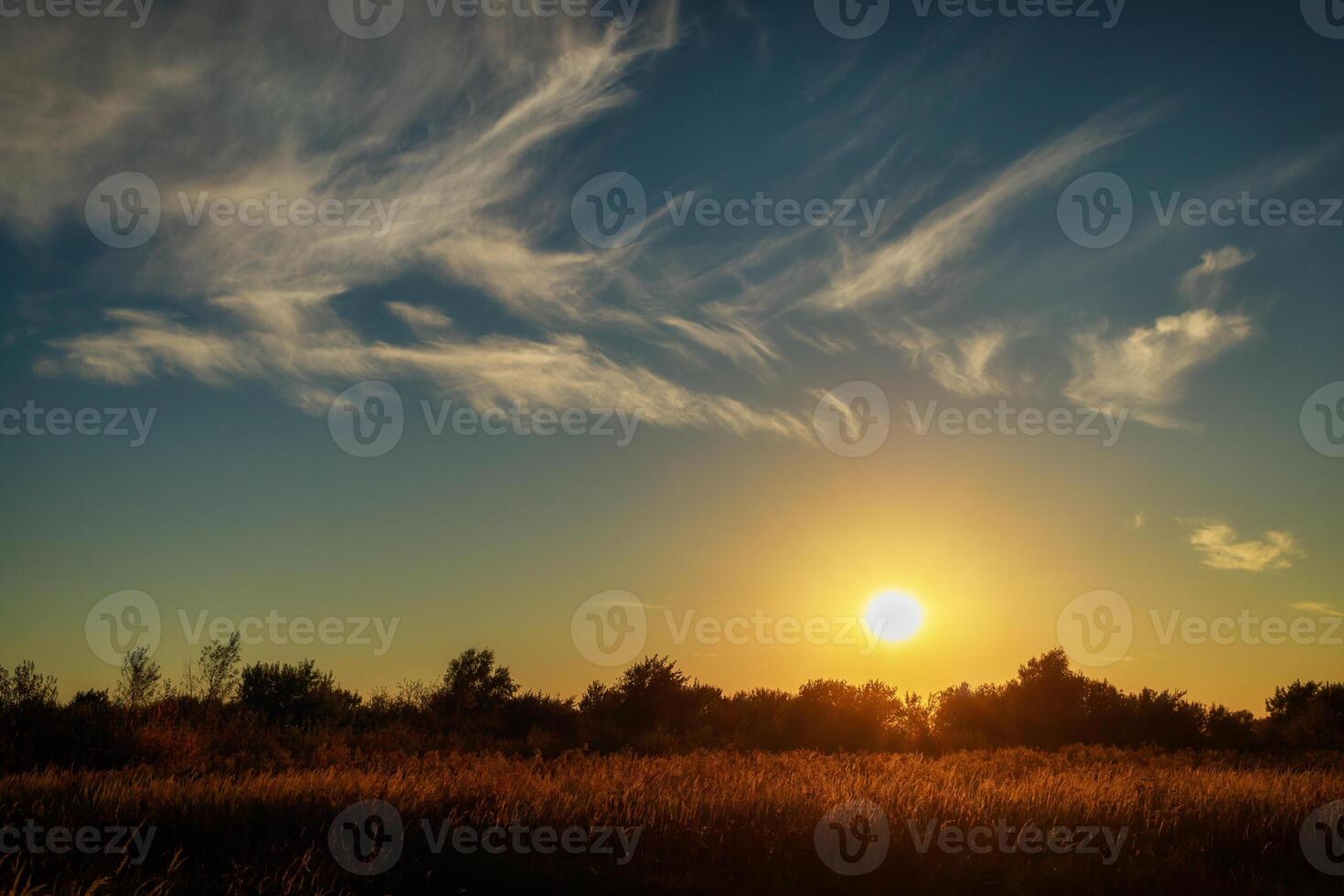 Beautiful summer sunset. Summer landscape photo