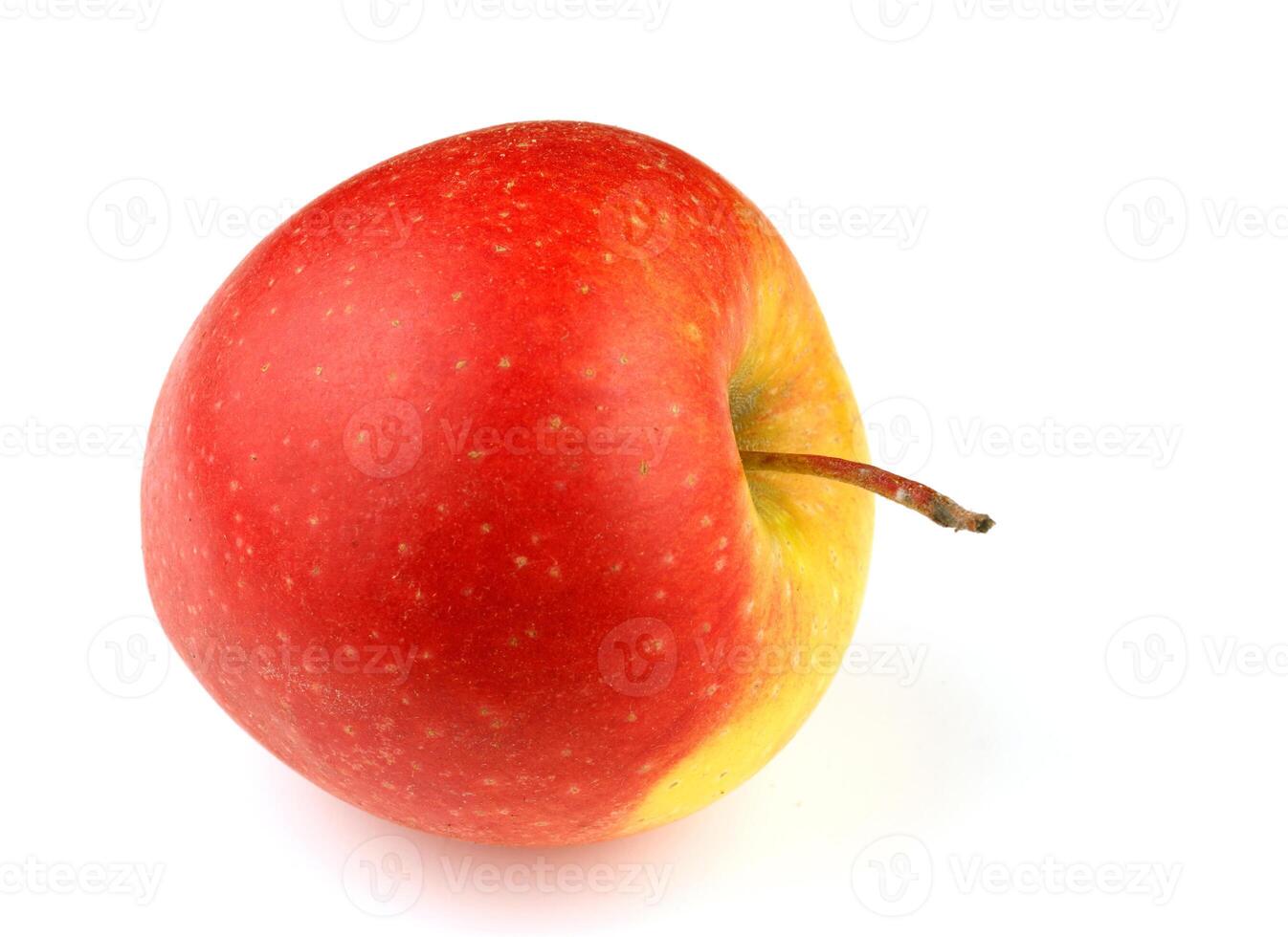farm red apple white isolate background photo