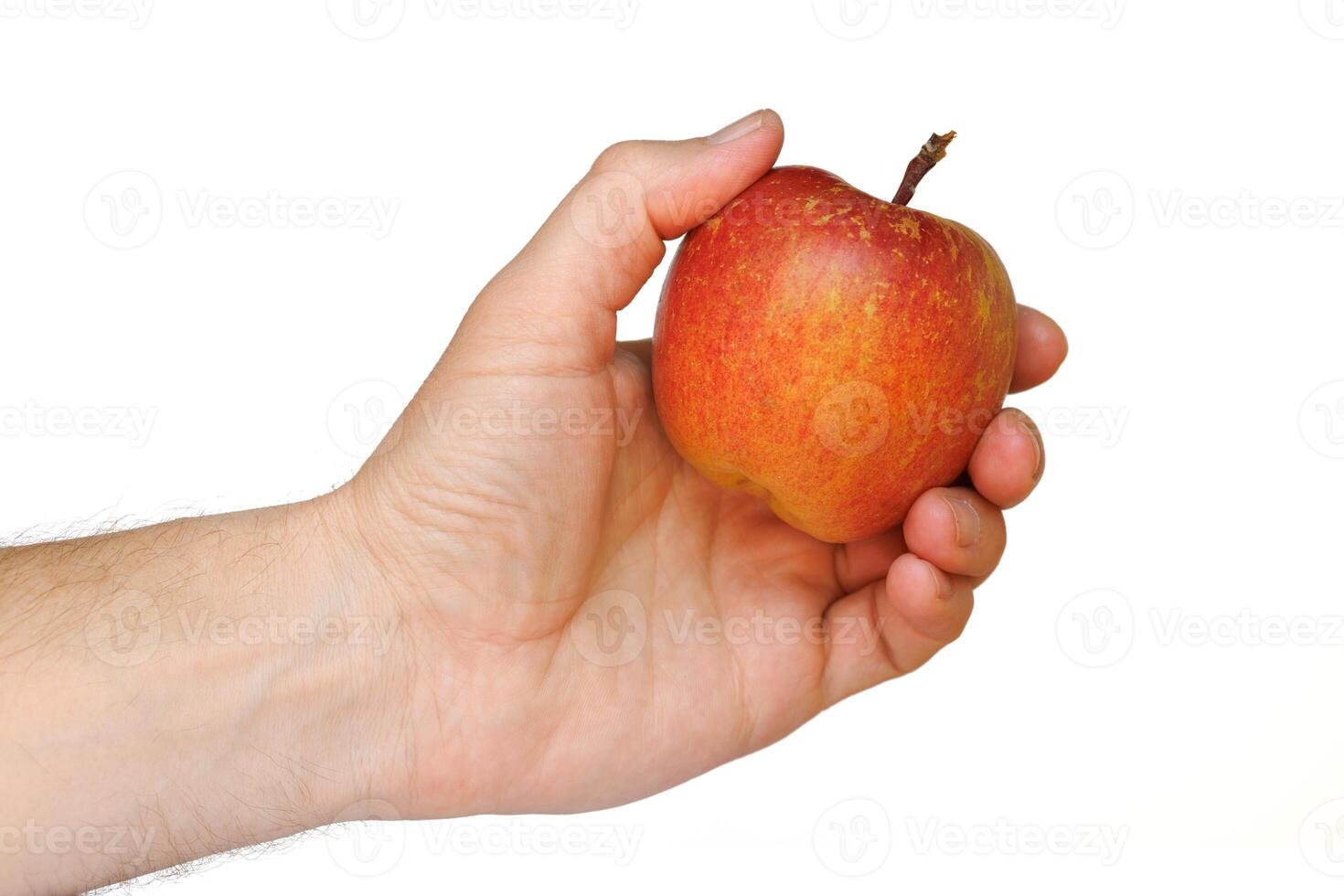 Red apple variety of Fuji in hand isolate photo