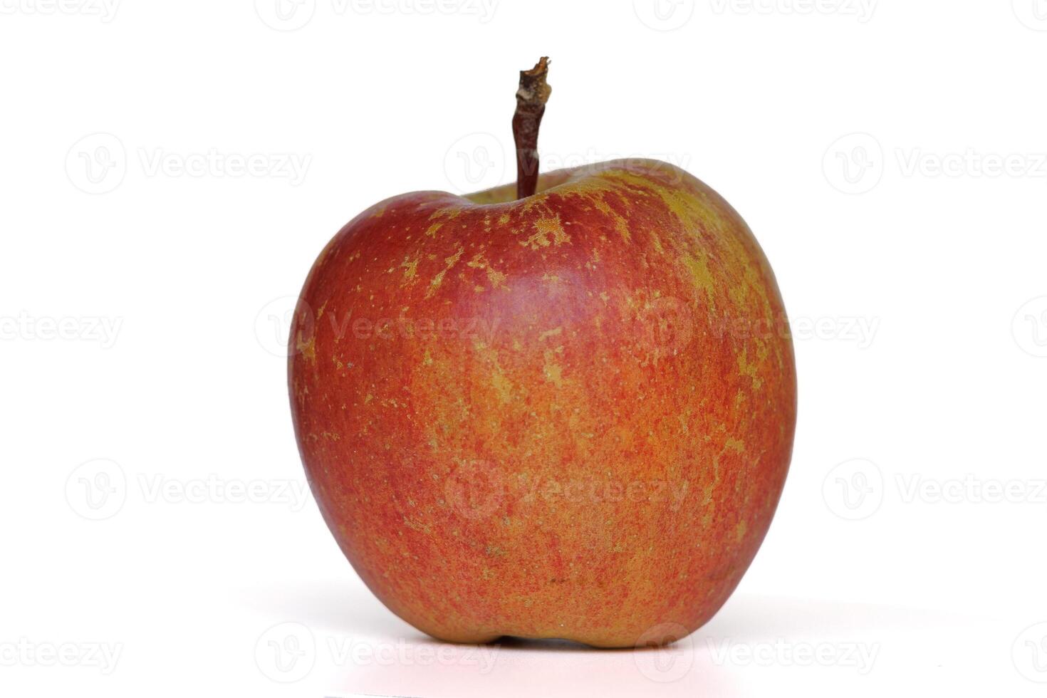 Red apple variety of Fuji white isolate photo