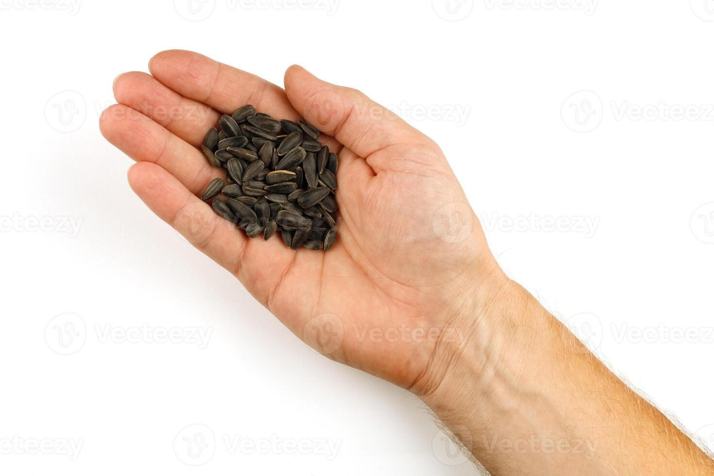Sunflower seeds in hand isolate photo