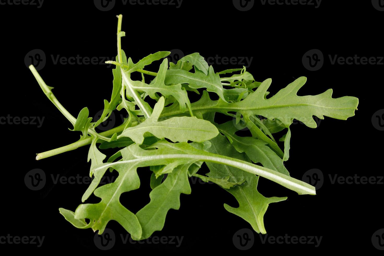arugula salad on a black background. arugula leaves fresh isolated photo