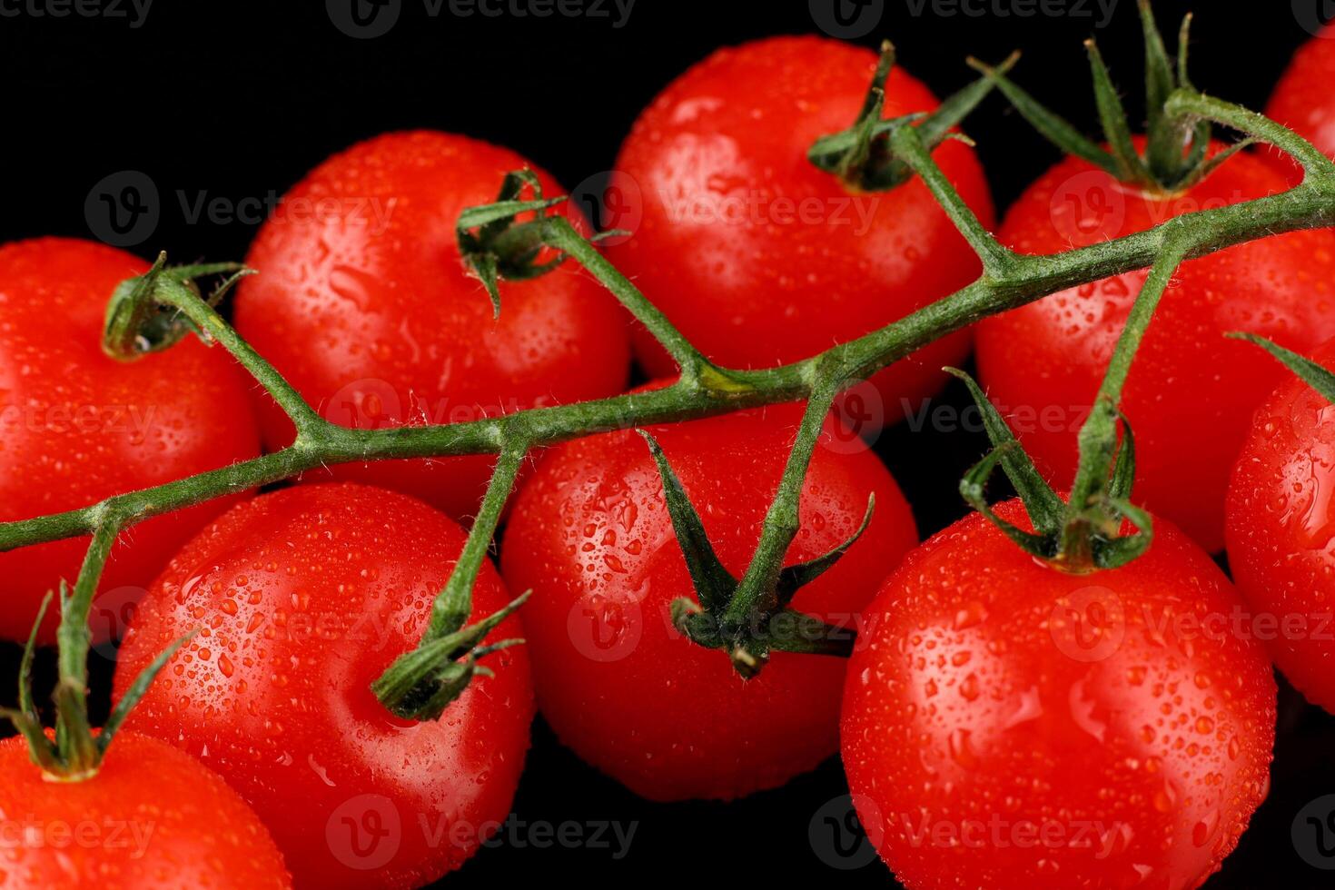 cherry tomatoes close-up on a dark background photo