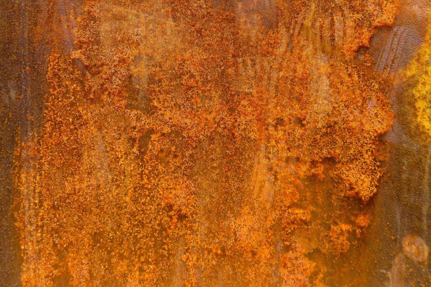 Beauty of Nature's Rusty Red Color photo