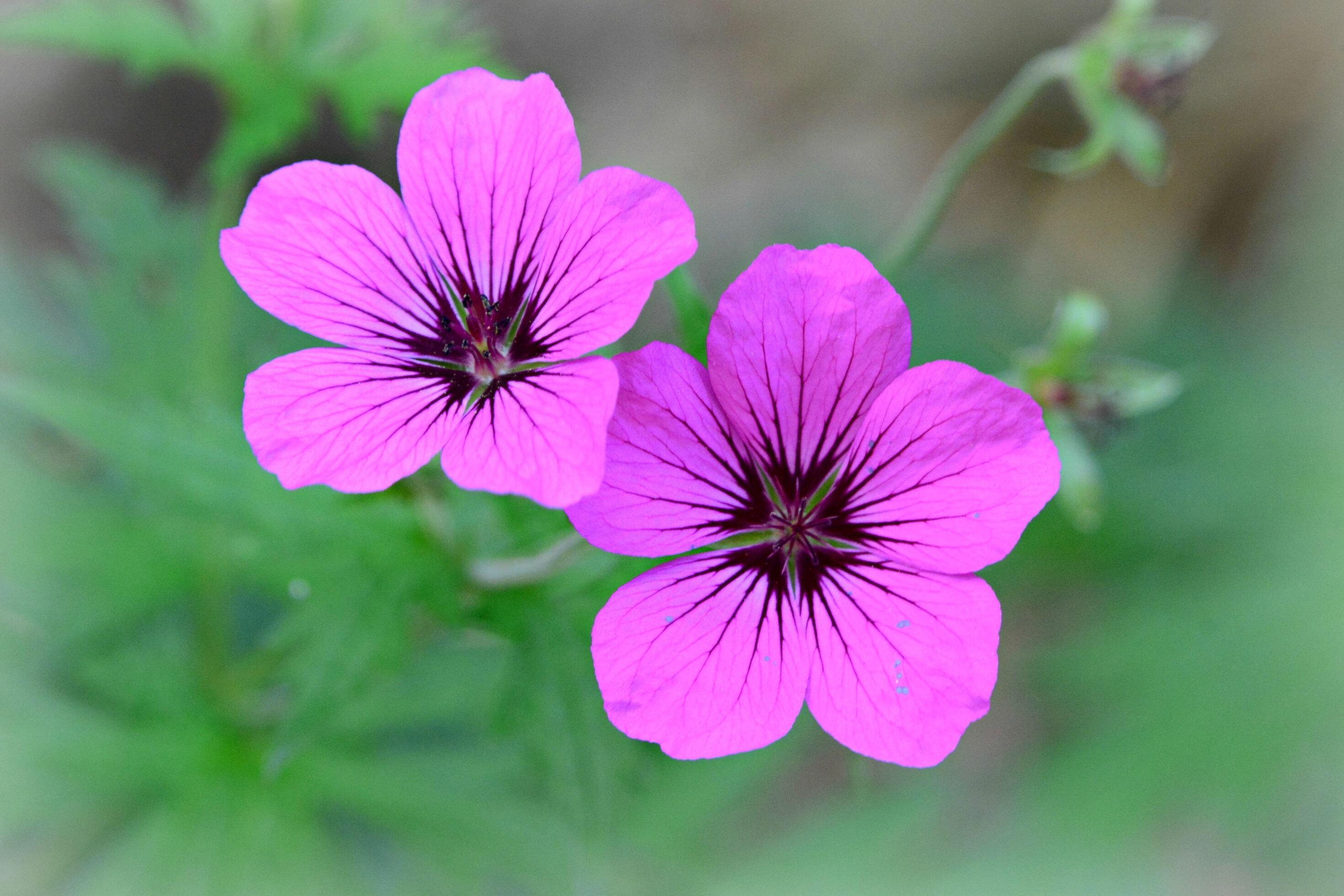 Rna'S Self Made Bonds: Unlocking Nature'S Hidden Code - b62cple