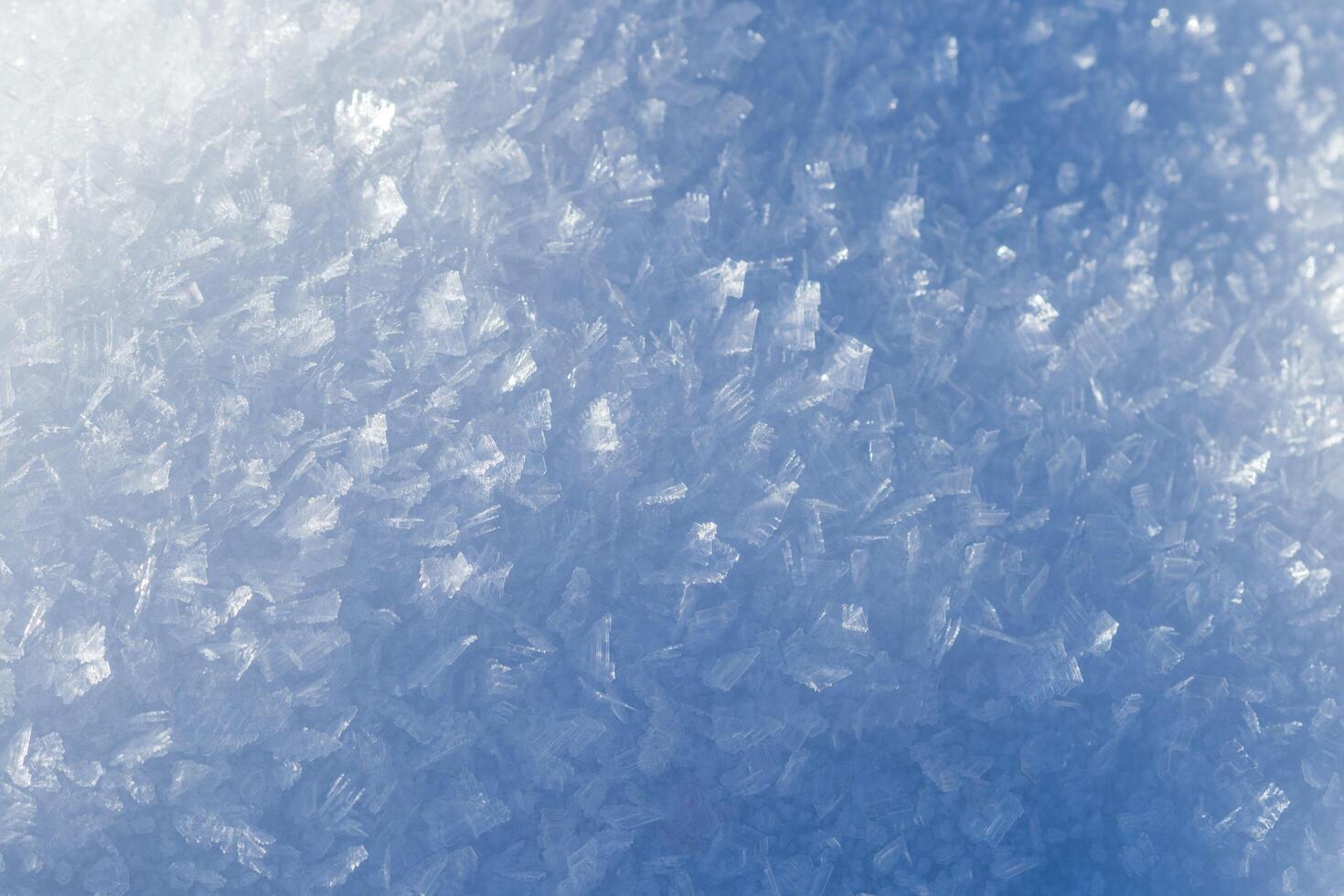 Glistening Elegance Floor Adorned with Small Ice Grains photo