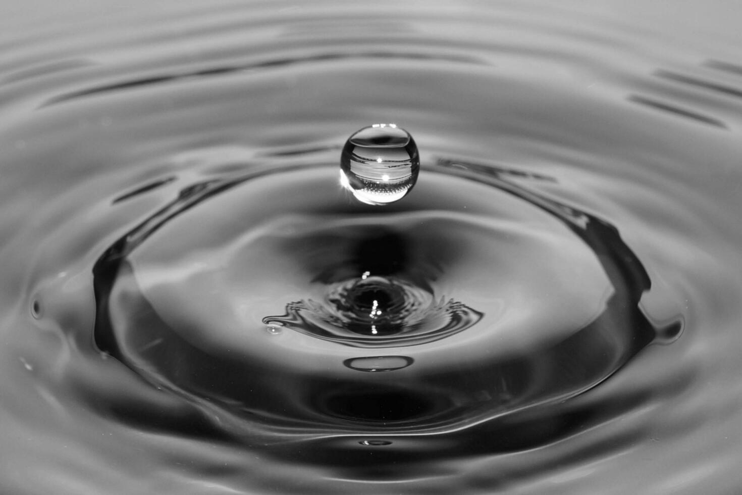 Nature's Droplets Creating Waves of Beauty and Wonder photo