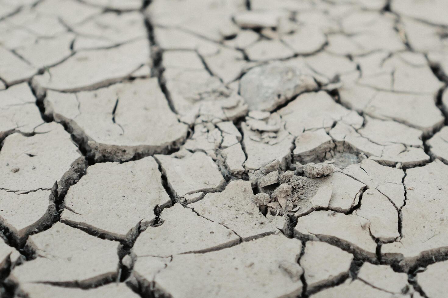 The Dry Cracked Beauty of Mud Nature's Raw and Intriguing Canvas photo