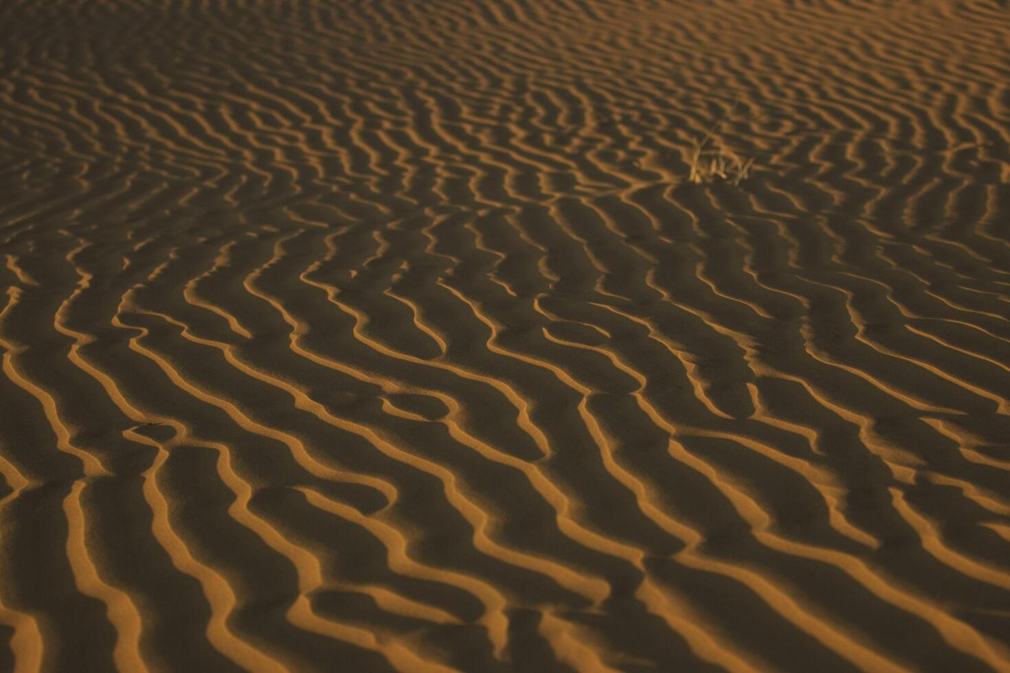 Sunset Waves of the Desert Evening Beauty Unveiled photo
