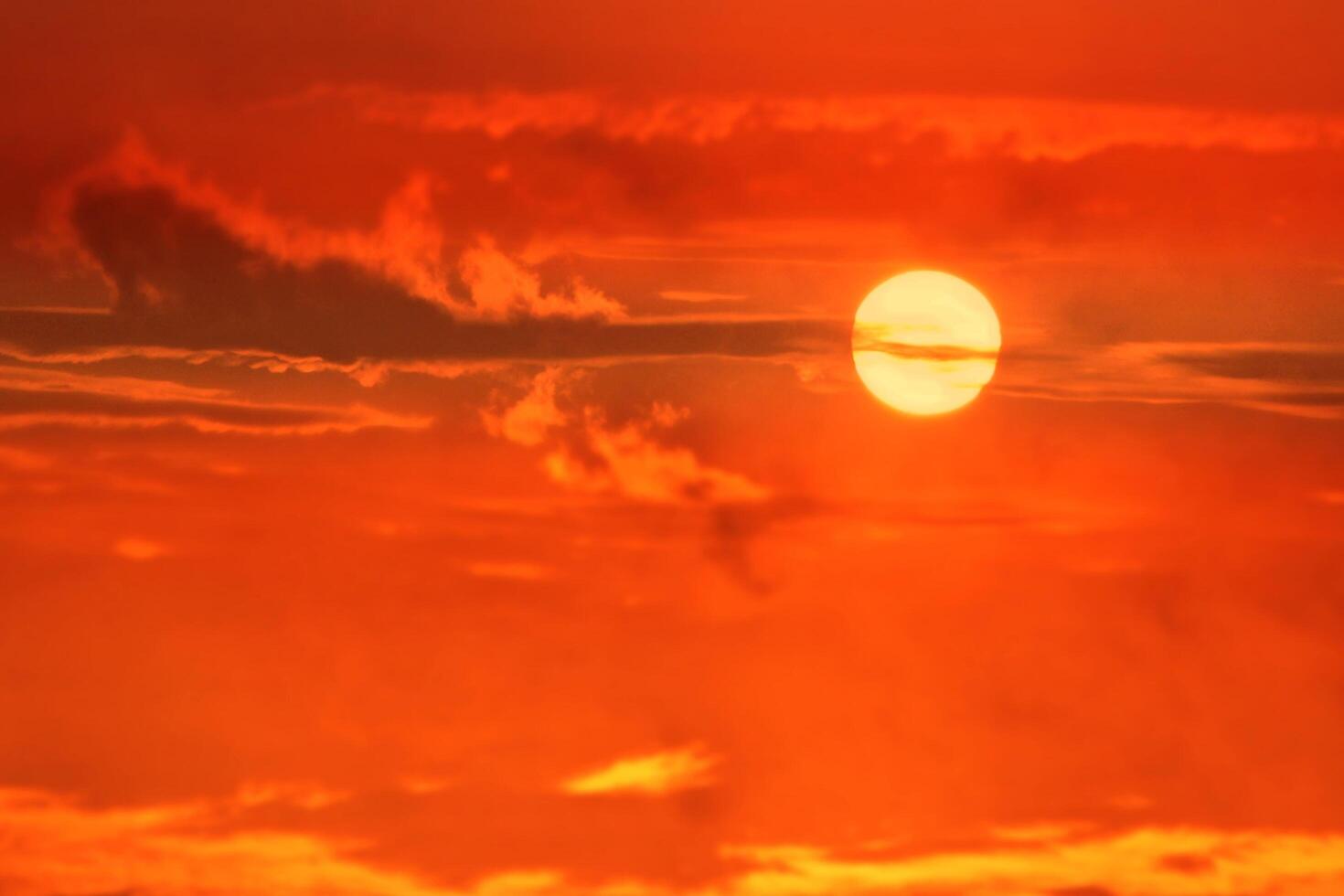 The Unique Beauty of Morning Sunrise photo