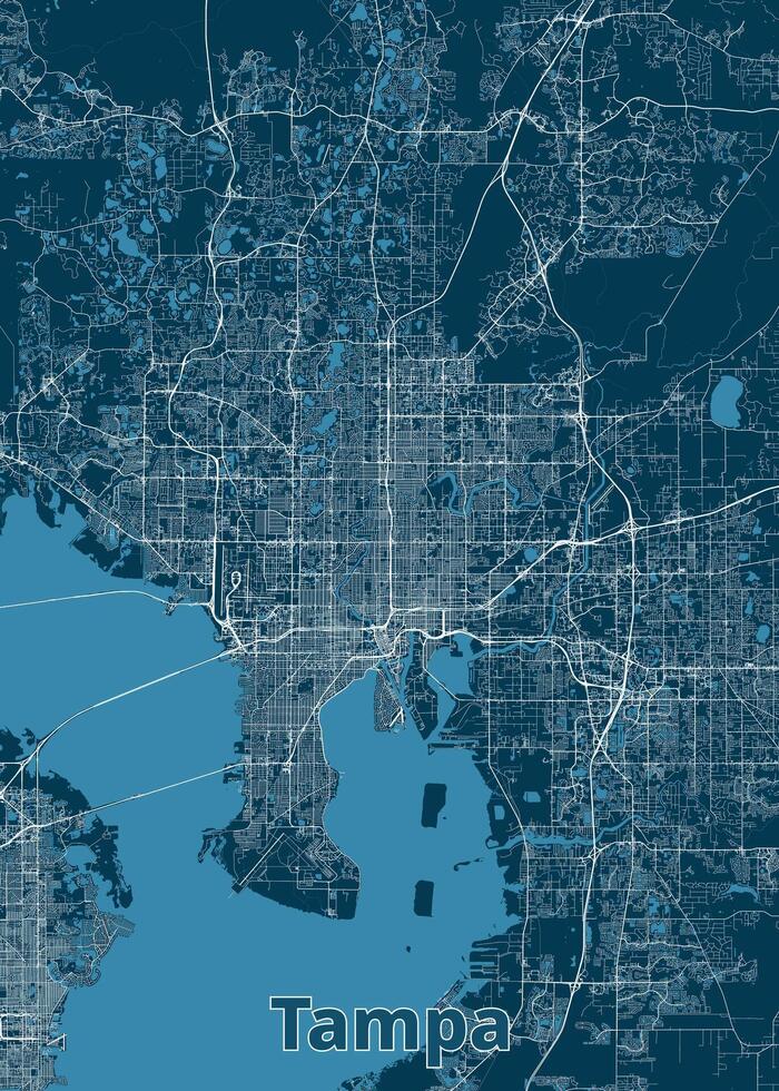 Tampa, Florida, USA artistic blueprint map poster vector