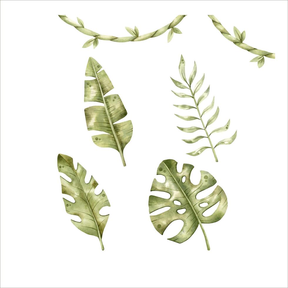 Safari watercolor hand-drawn illustration with tropical foliage vector