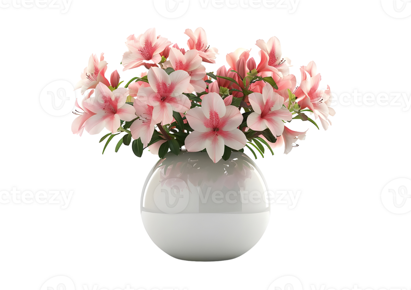 Pink azalea flowers in white vase. Isolated on transparent background png