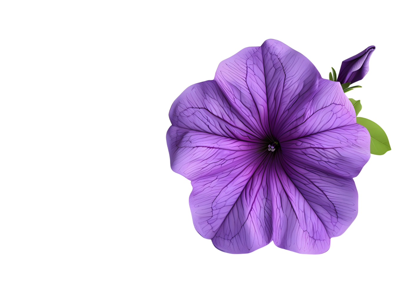 Purple flower with intricate veins. Isolated on transparent background png