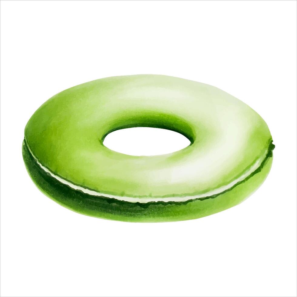 Green pool float. Watercolor hand drawn swimming circle illustration isolated on background. F vector