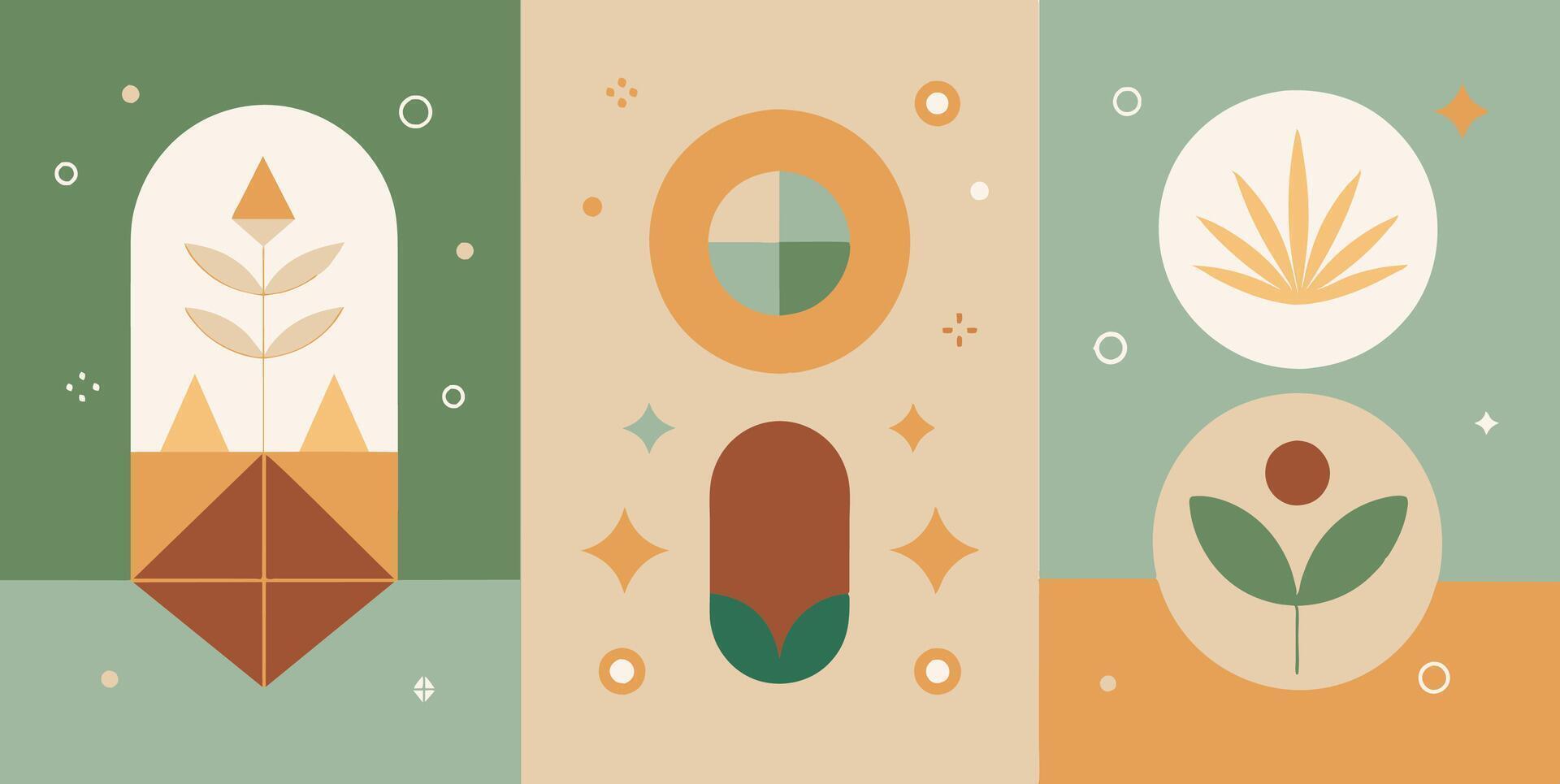 A collection of three posters featuring geometric shapes and plants vector