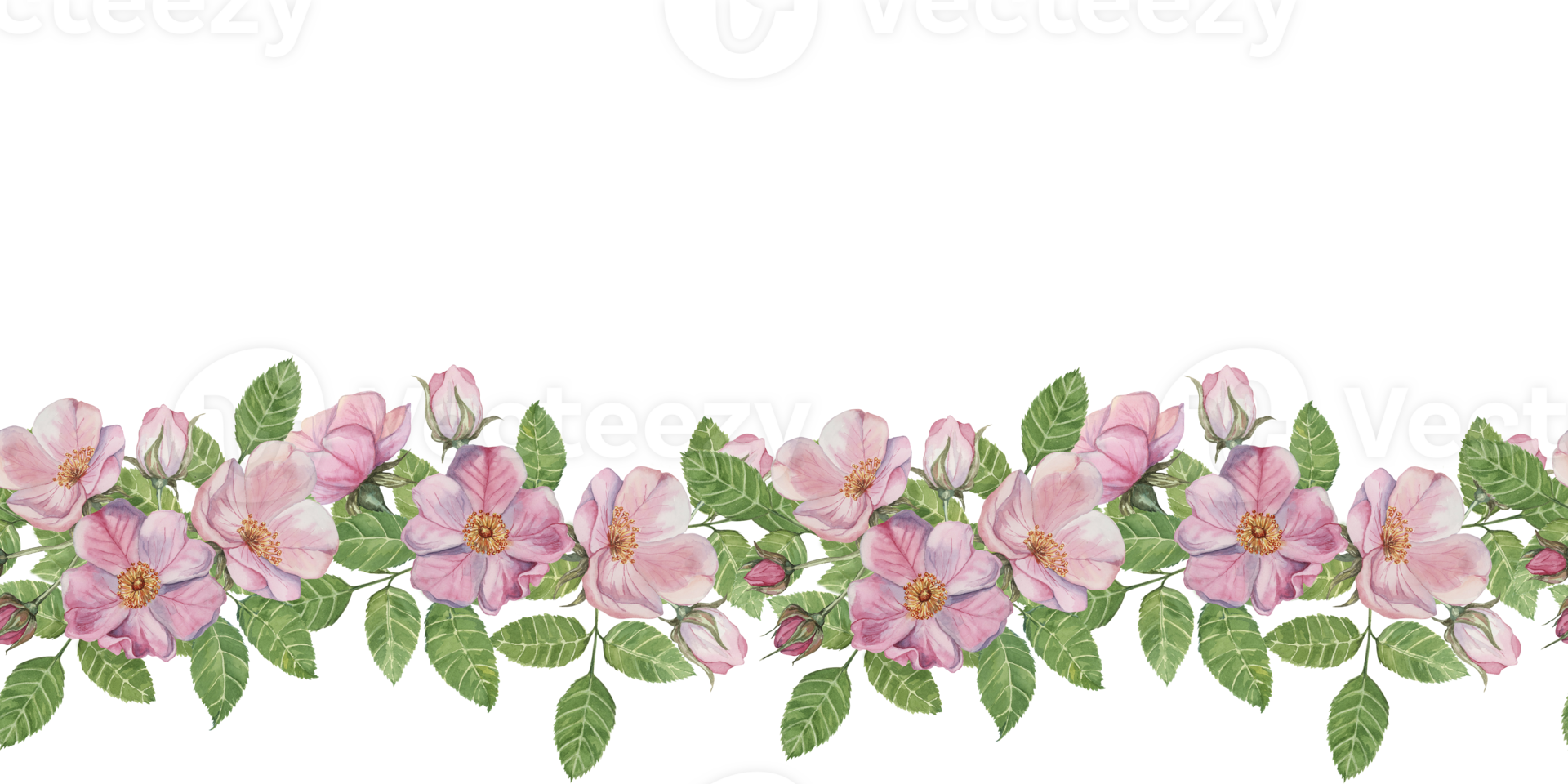 Wild rose seamless border showcases clusters of pink flowers with green leaves in watercolor, perfect for various design projects. Rosehip clipart for greeting cards, event decor, and packaging png