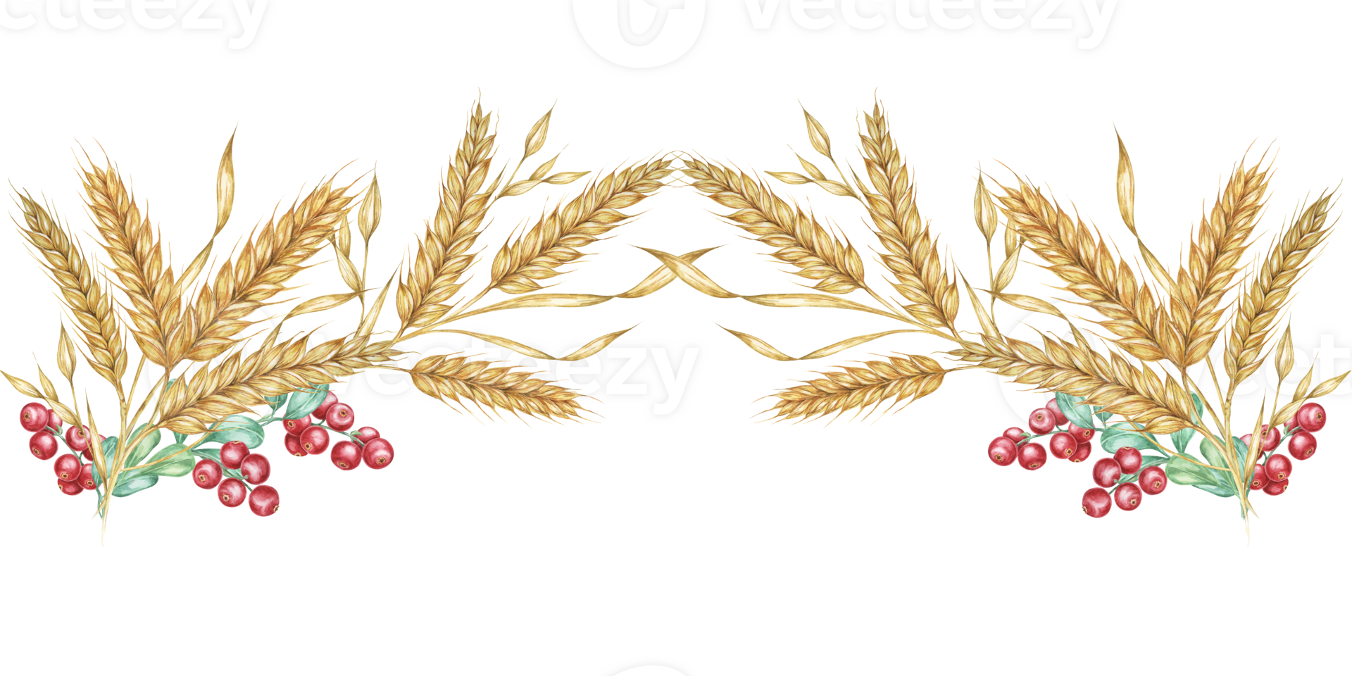 Wheat seamless border clipart combines watercolor wheat stalks with red berries, creating a charming design element for your projects. Perfect for holiday-themed designs, invitations, and crafts png