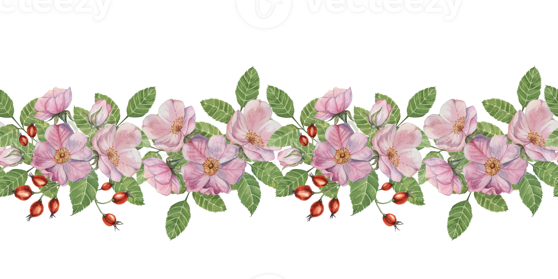 Wild rose seamless border with pink flowers, green leaves and red rosehips in watercolor, Romantic design for weddings, cards. Clipart for use in invitations, stationery, and home decor png
