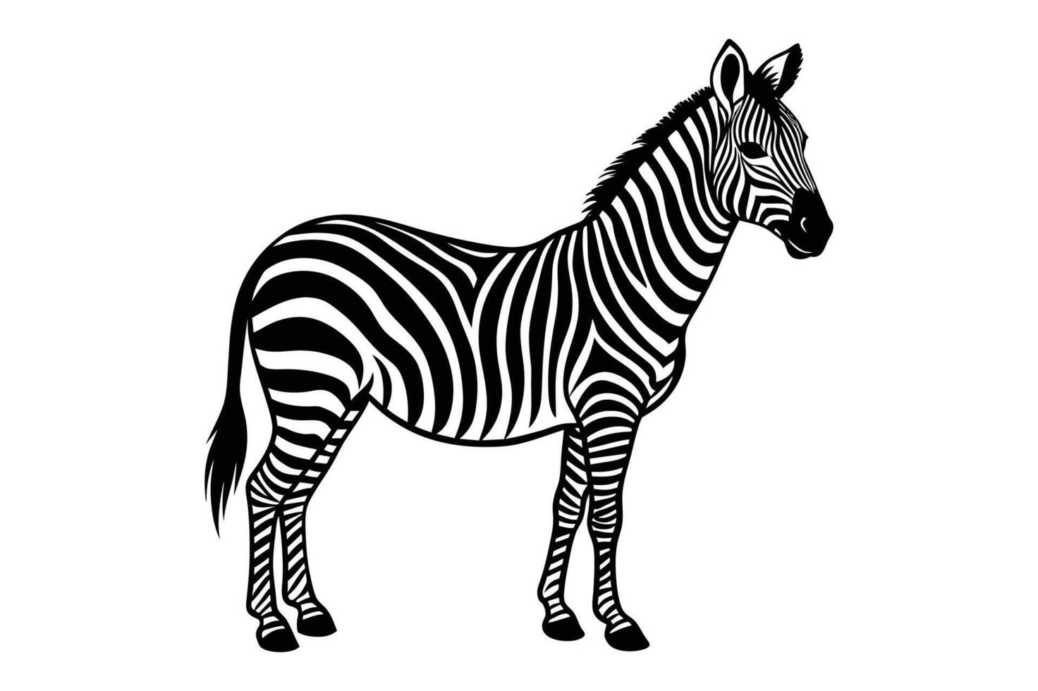 zebra silhouette illustration vector