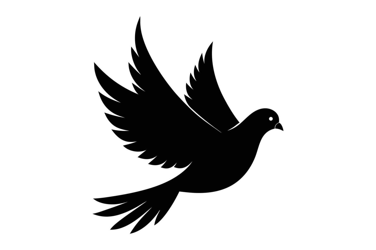 Dove bird Black and White Backgrounds vector