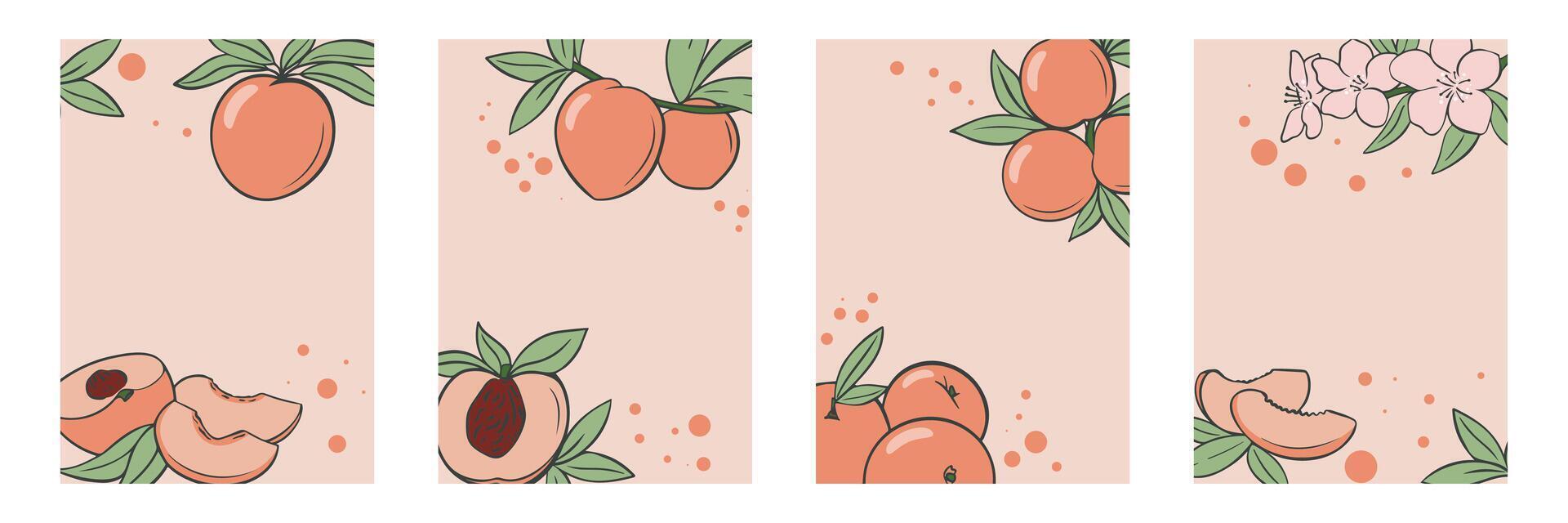 Peach fruit set with leaves and flowers on pink background vector