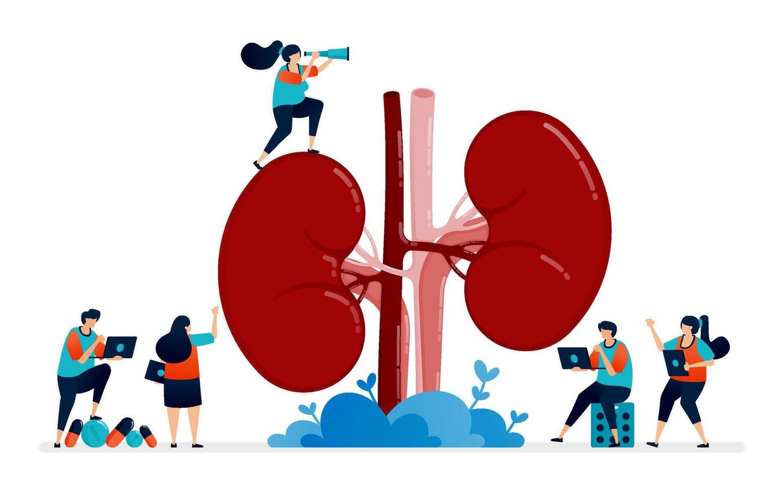 illustration design for kidney disease and treatment. anatomy of the kidney for medical, props and health education vector