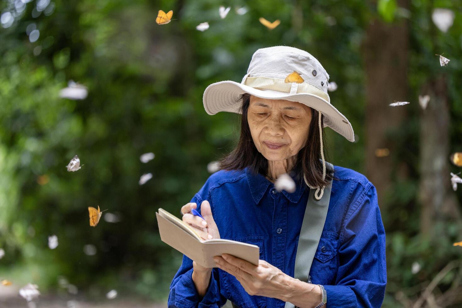 Asian biologist is collecting data in forest field study of mud puddling phenomenon butterfly sapping on salt and mineral during summer on mating season for tropical rainforest wild entomology photo