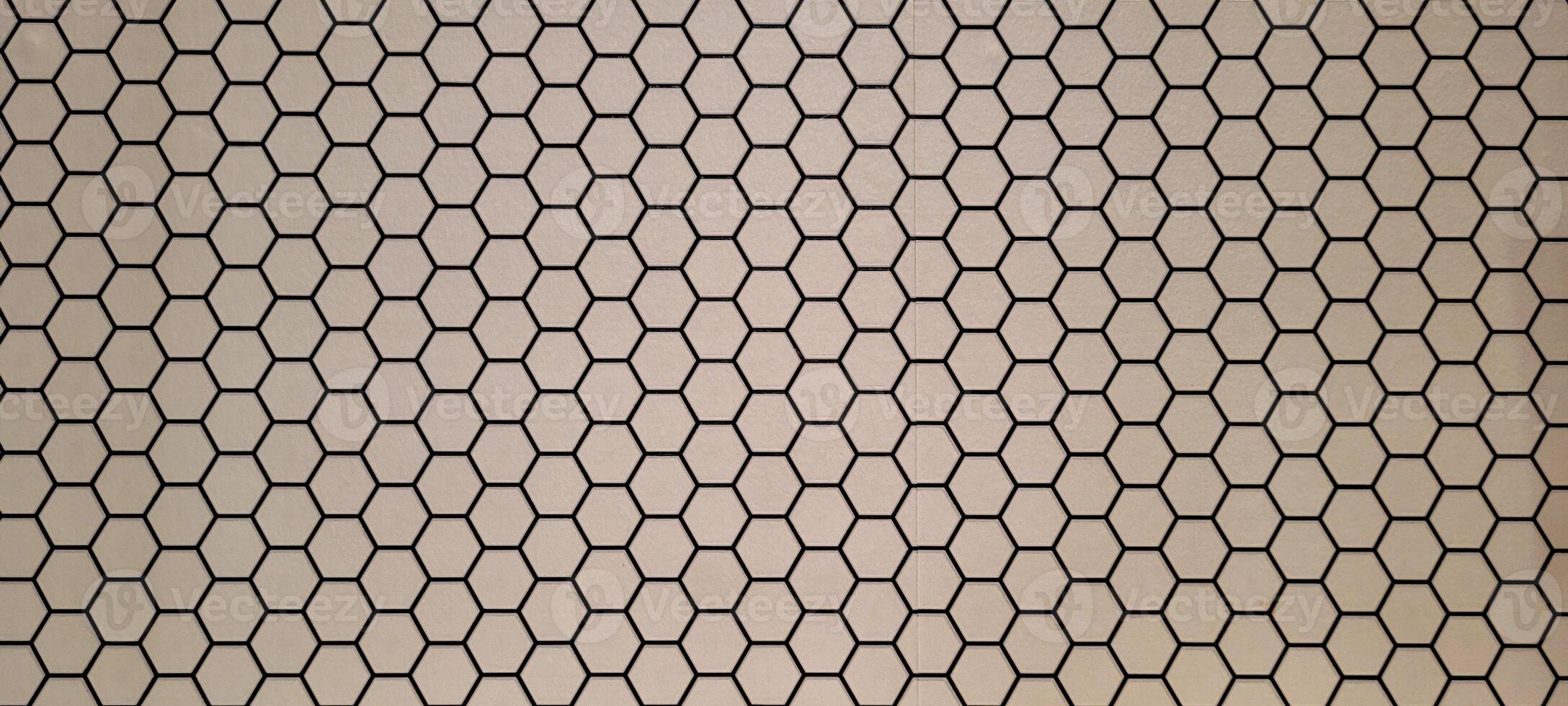checkered white background with black lines photo