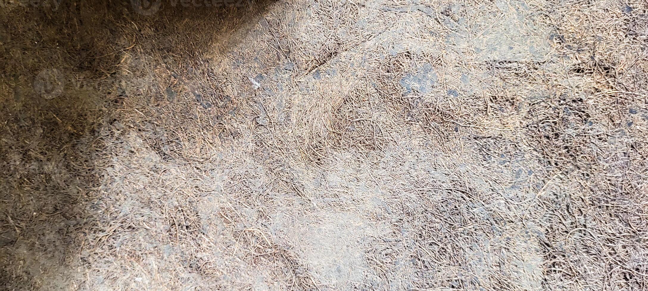 dark background with rustic texture photo