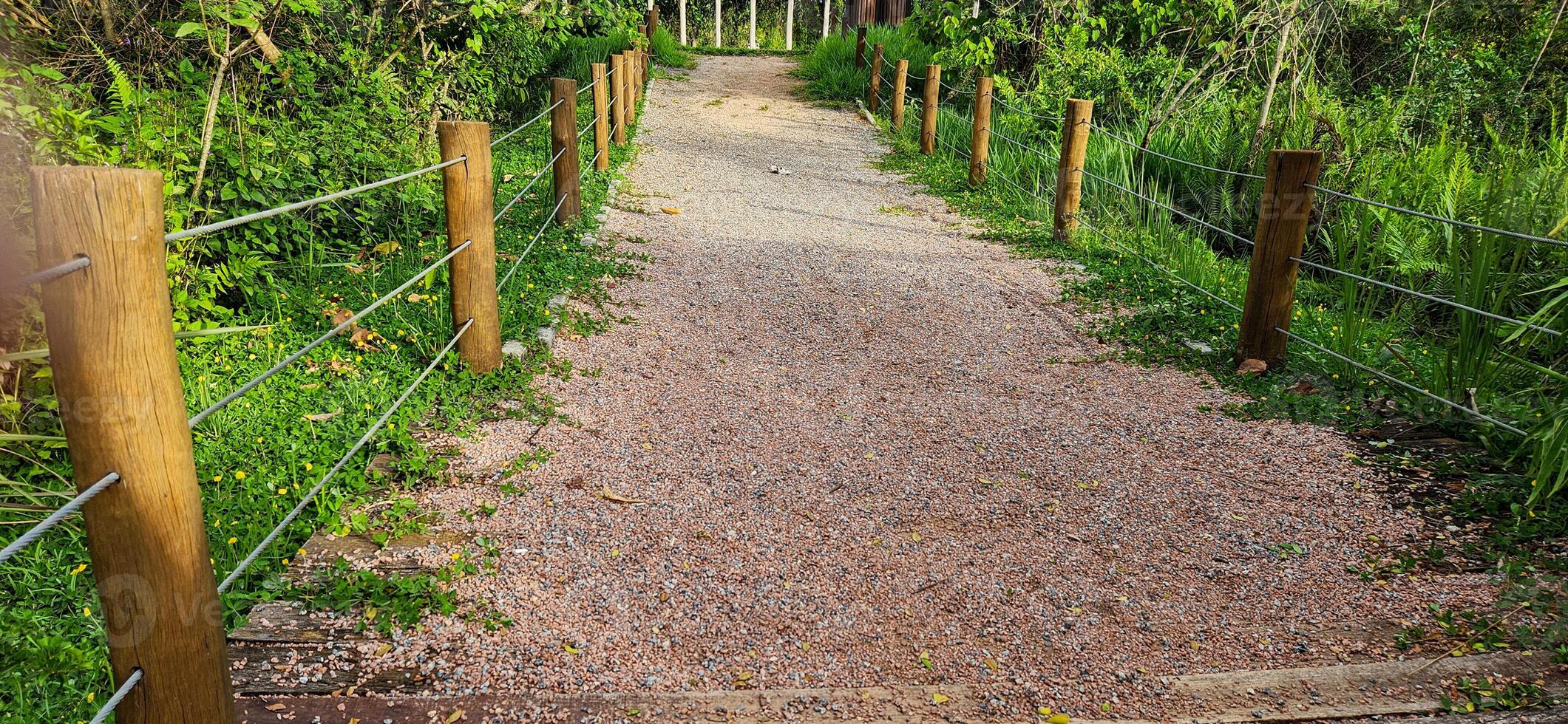 trail amid tropical nature on a beach in Brazil in Ubatuba photo