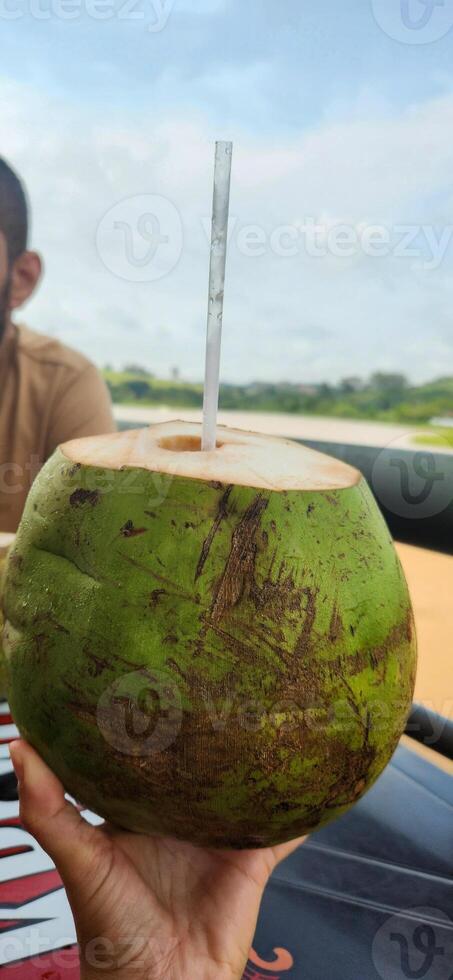 woman holding a green coconut with straw in park with lake photo