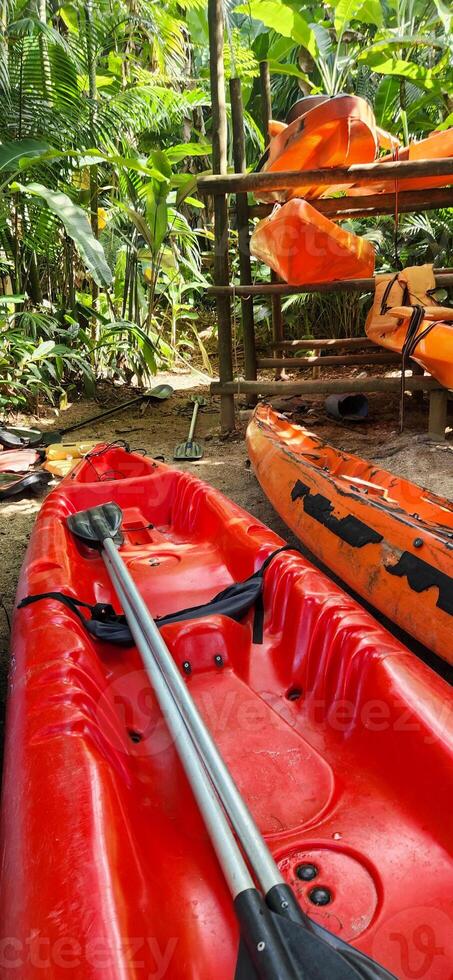 red kayak on a day in a tropical forest in Brazil, amidst nature and lots of greenery photo