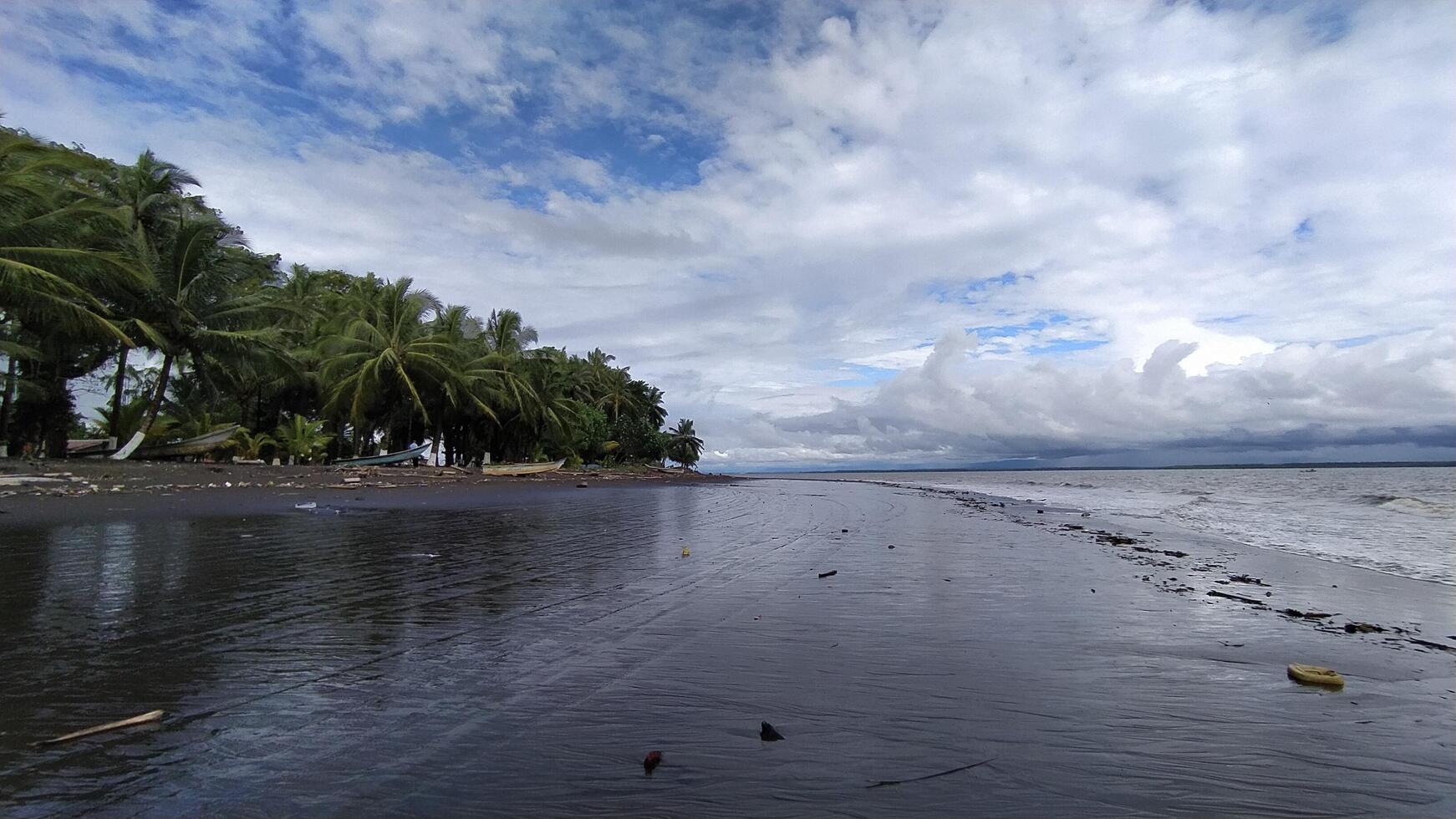 a beach with black sand and trees under a cloudy sky photo